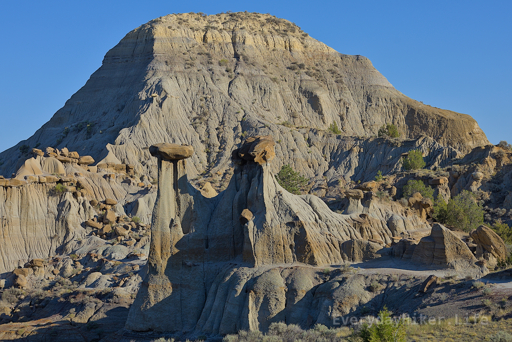 Twin Sisters (center hoodoos) with a stunning backdrop of hillside and various capstones throughout the valley.  Taken from Caines Coulee overlook.