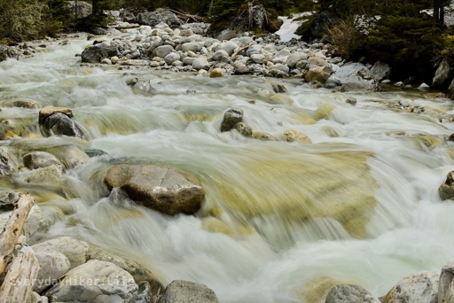 A side trail upstream of the bridge allows you to walk along the cascading flow of the Illecillewaet river.